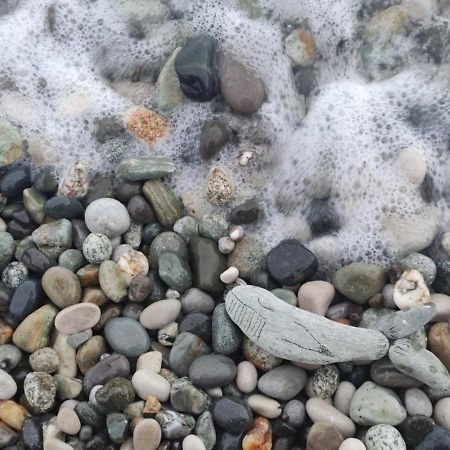 Бунгало Мини Отель, Пицунда , Лдзаа Dış mekan fotoğraf