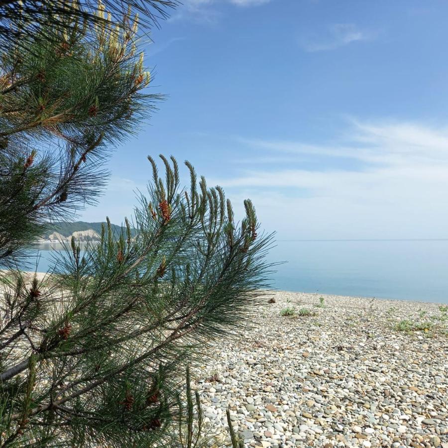 Бунгало Мини Отель, Пицунда , Лдзаа Dış mekan fotoğraf