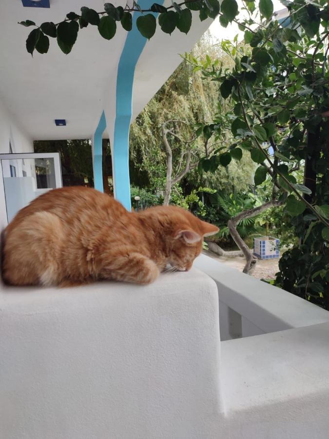 Бунгало Мини Отель, Пицунда , Лдзаа Dış mekan fotoğraf